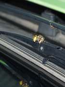 Autonehoda aneb v nouzi sn i ptele