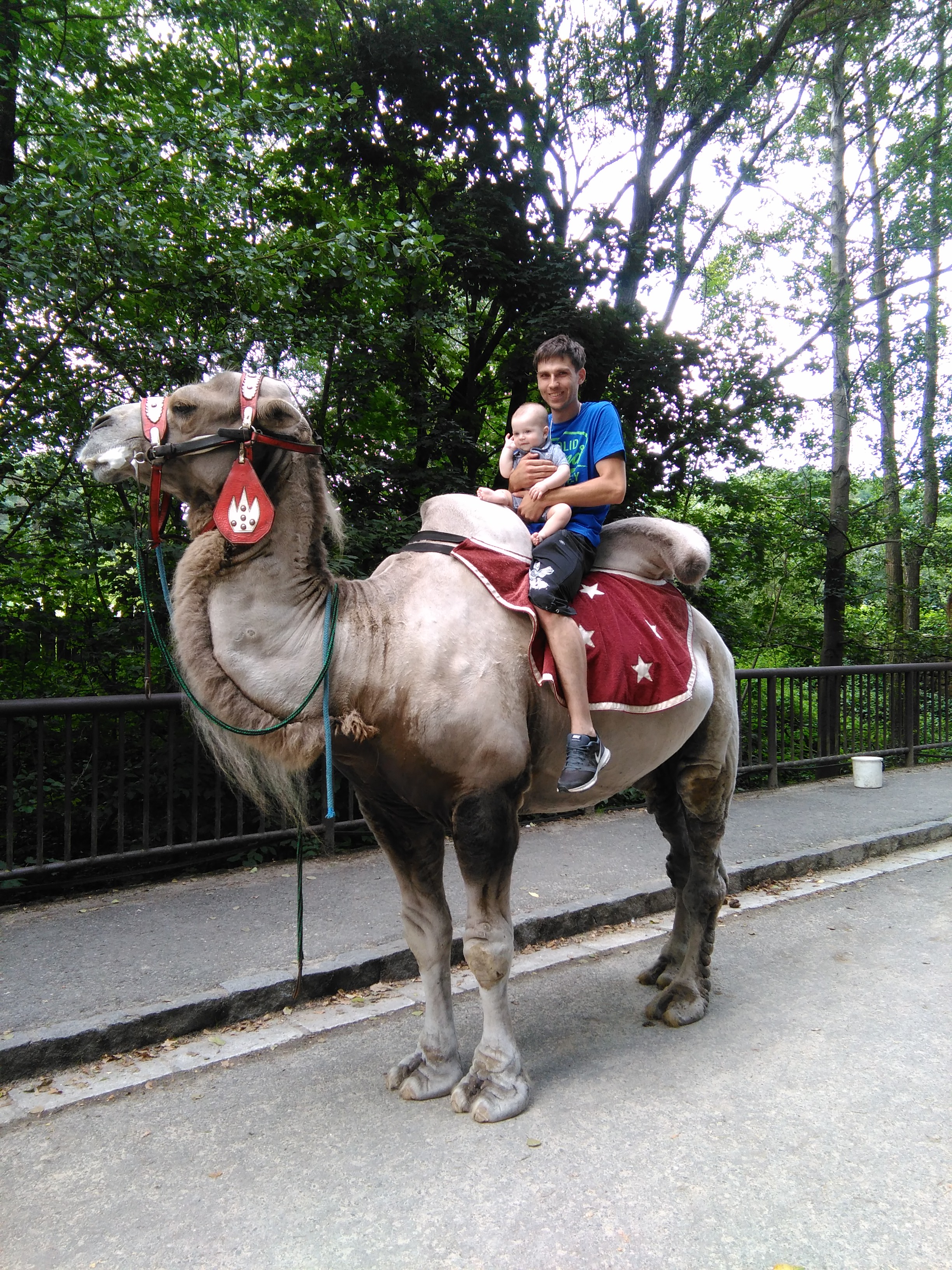 Nejmlad jezdec na velbloudovi