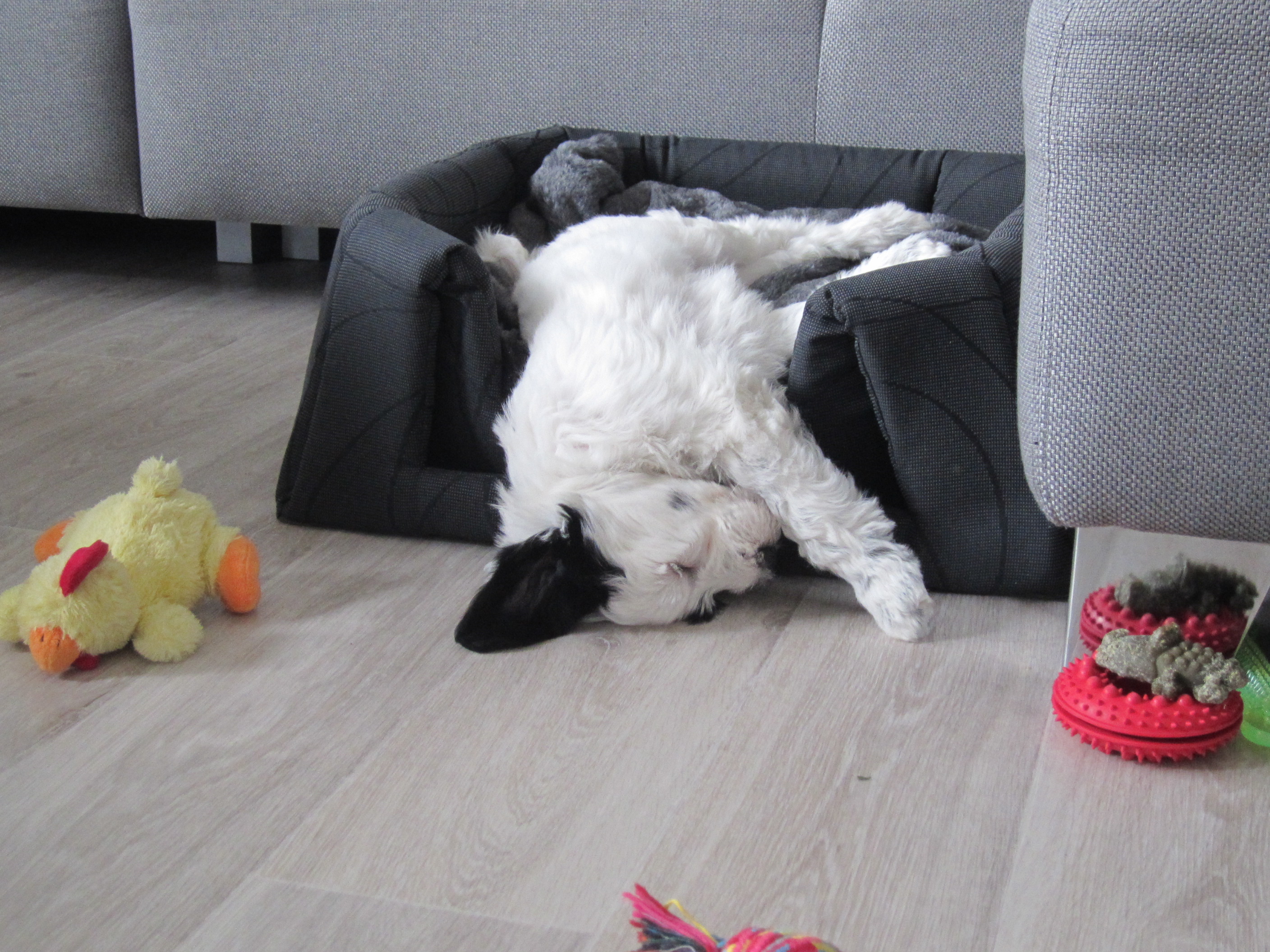 ivot tnte je nkdy nron...