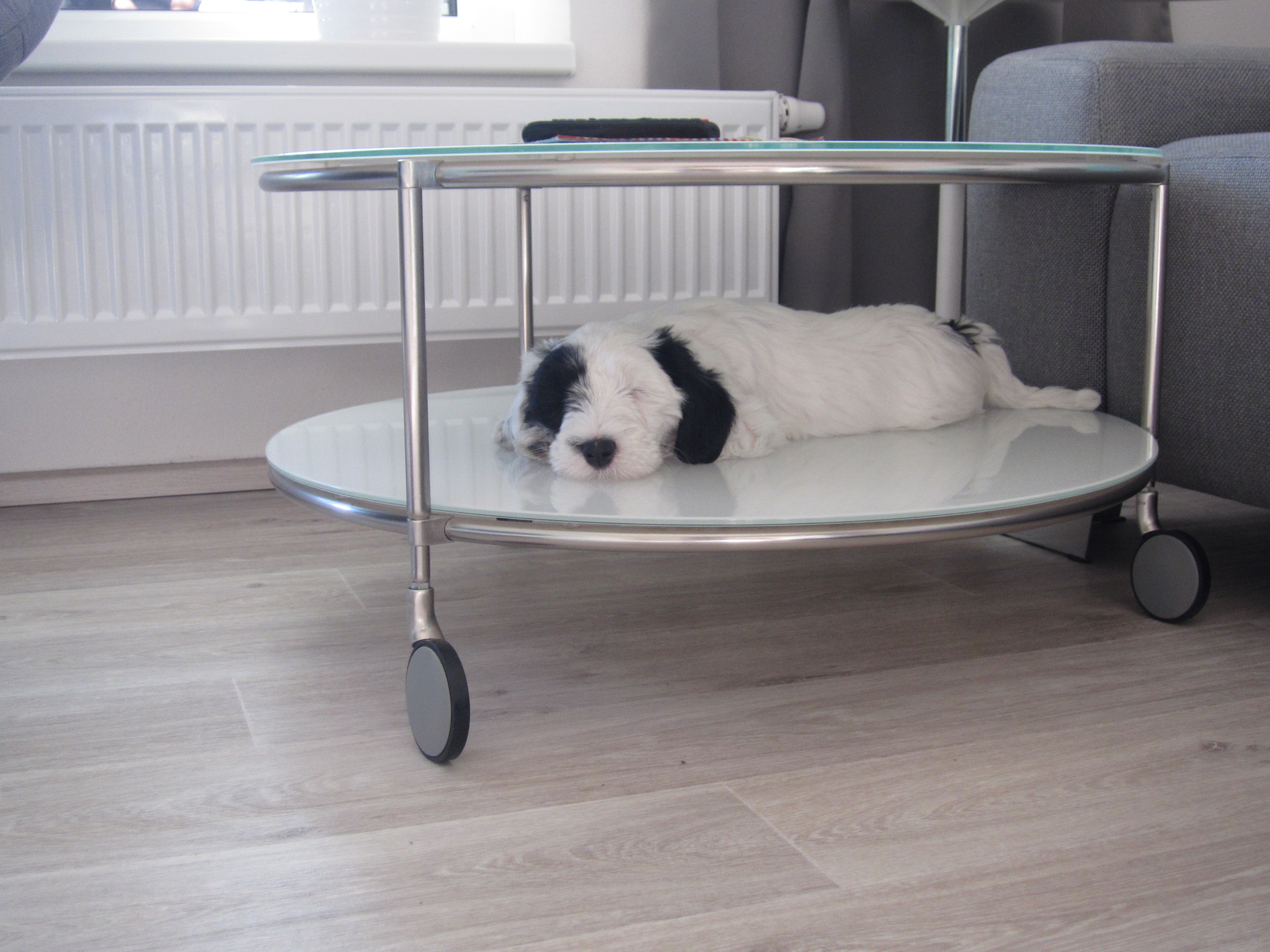 Doufm, e tady m nikdo ruit nebude...