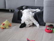 ivot tnte je nkdy nron...