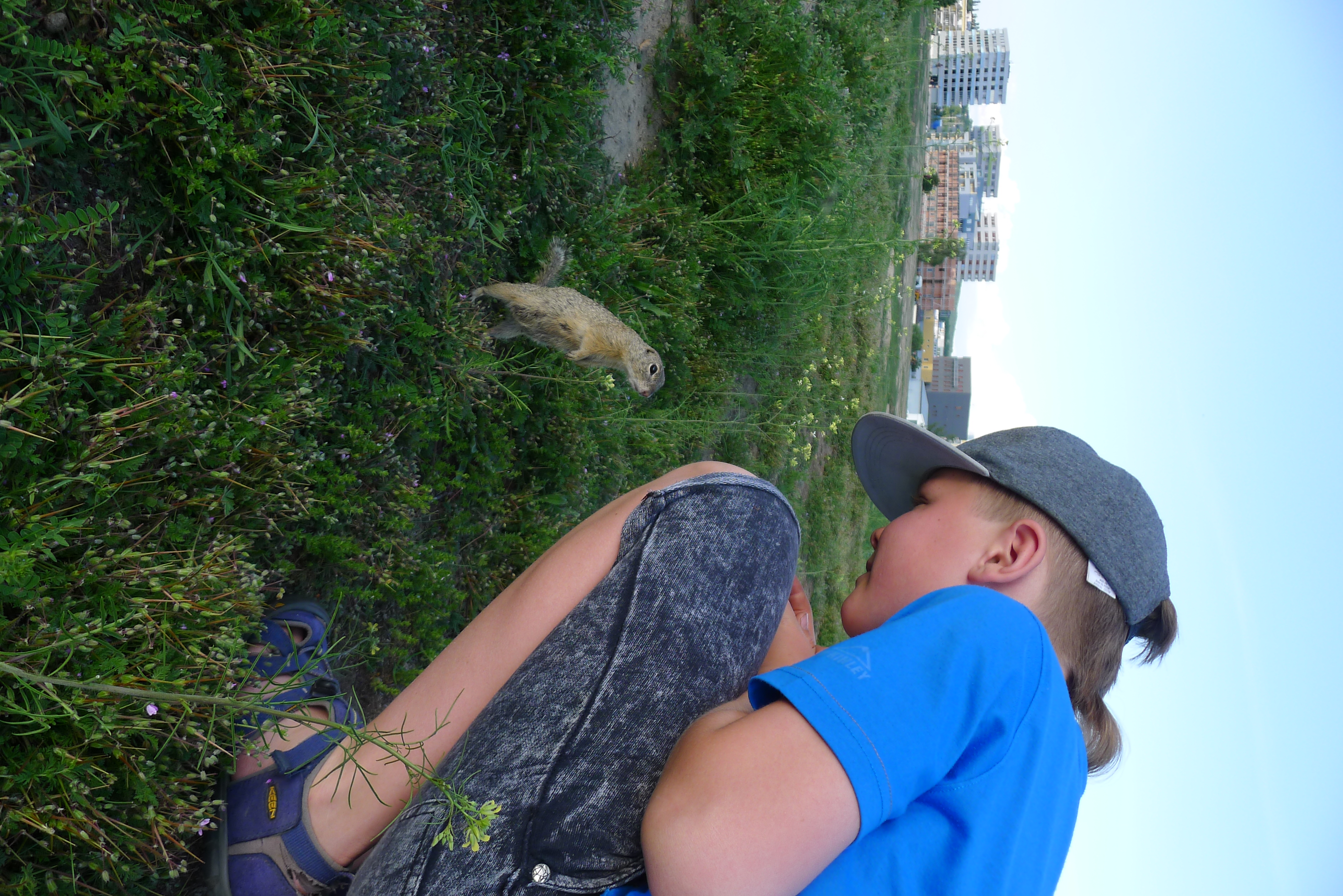 Navazovn ptelstv v mstskm parku - Jja a sysel