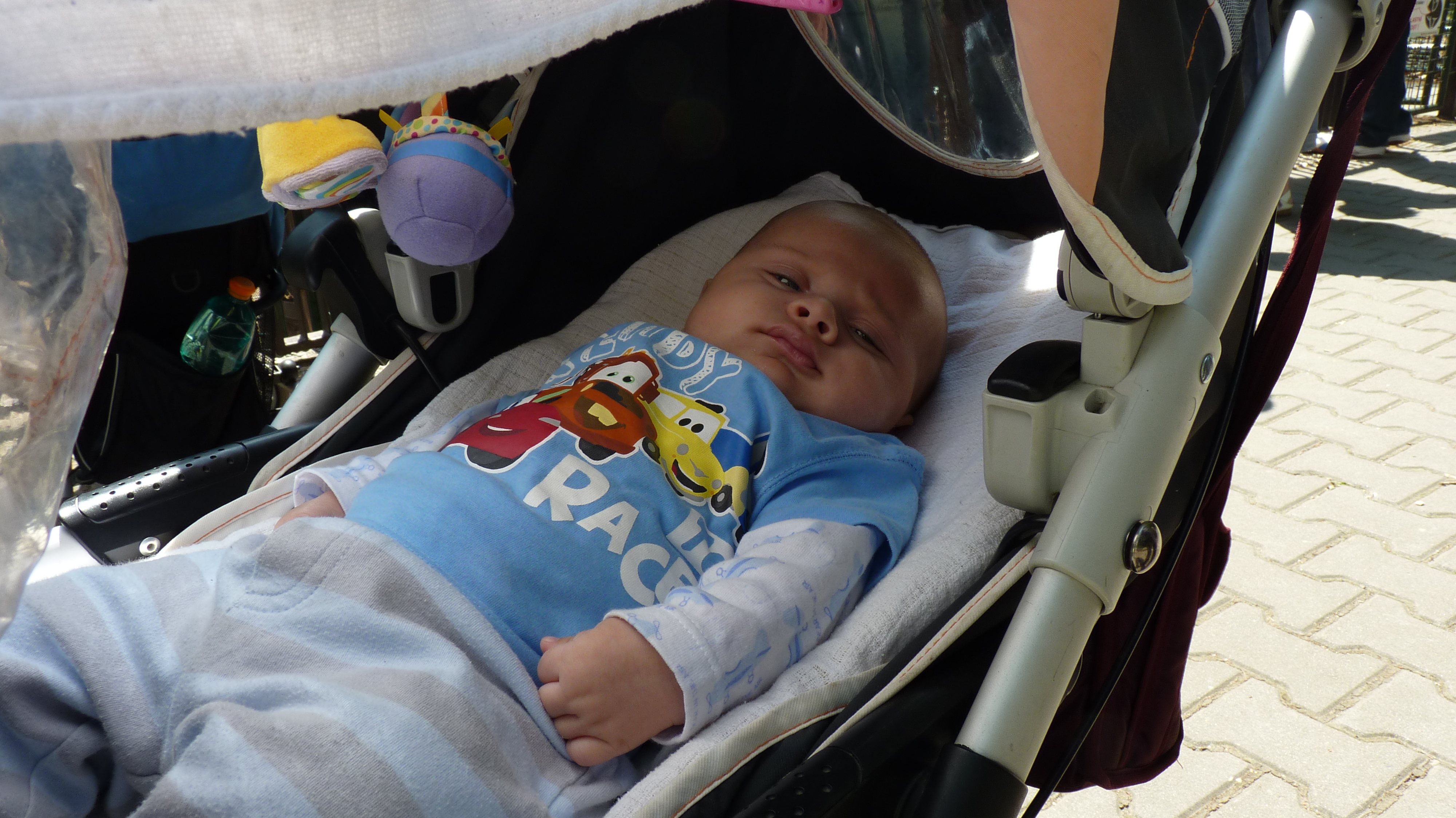 Vojtek 11 tdn :-) poprv v Zoo ;-)