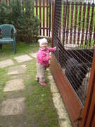 Musm pusti nae holky------ADLKA-------