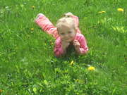 Viktorka- andlek s blem v tle