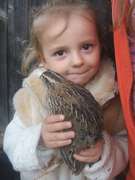 Viktorka- andlek s blem v tle